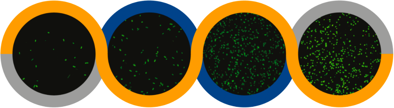 w66.利来(中国区)_来利国际旗舰厅