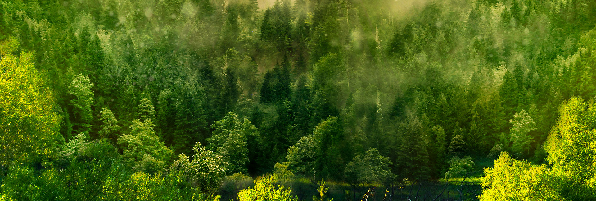 w66.利来(中国区)_来利国际旗舰厅